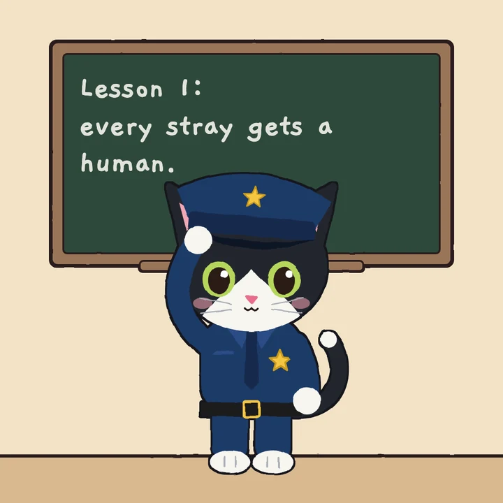 Mittens saluting in uniform in front of a chalkboard that says: Lesson 1, every stray gets a human.